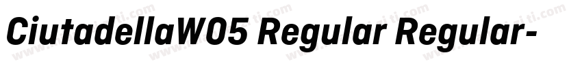 CiutadellaW05 Regular Regular字体转换